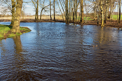 BUITEN BEELD Foto: 402368
