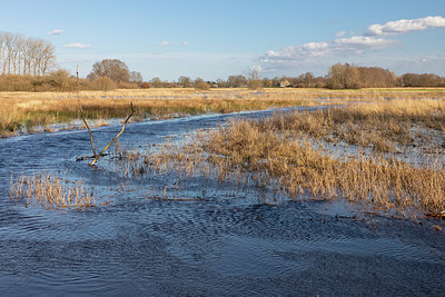 BUITEN BEELD Foto: 402369