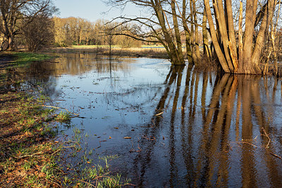 BUITEN BEELD Foto: 402371