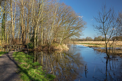 BUITEN BEELD Foto: 402372