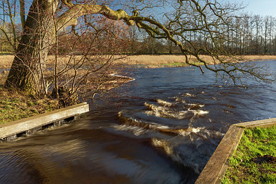 BUITEN BEELD Foto: 402376
