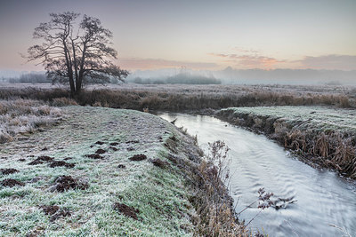 BUITEN BEELD Foto: 402385