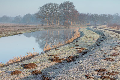 BUITEN BEELD Foto: 402390