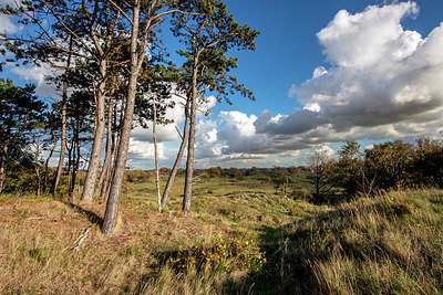 BUITEN BEELD Foto: 402514