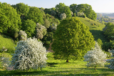 BUITEN BEELD Foto: 402531