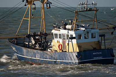 BUITEN BEELD Foto: 402541