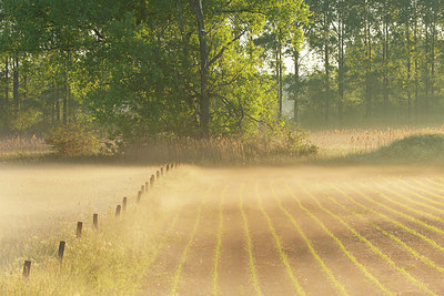 BUITEN BEELD Foto: 402618