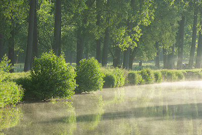 BUITEN BEELD Foto: 402627