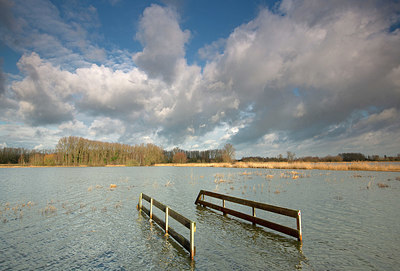 BUITEN BEELD Foto: 402633