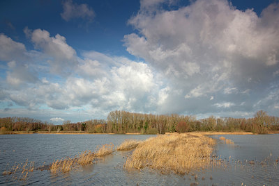 BUITEN BEELD Foto: 402634