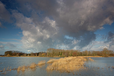 BUITEN BEELD Foto: 402637