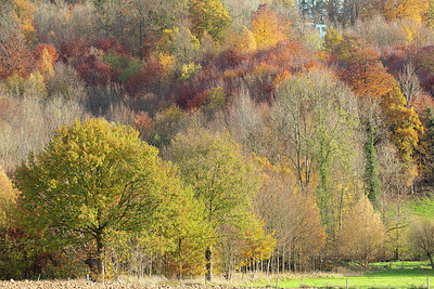 BUITEN BEELD Foto: 402648