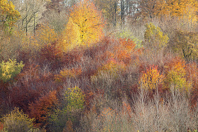BUITEN BEELD Foto: 402649