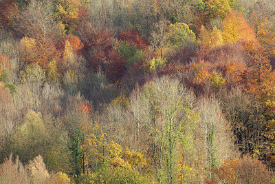 BUITEN BEELD Foto: 402652
