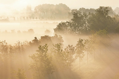 BUITEN BEELD Foto: 402653