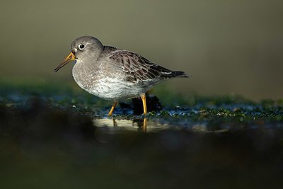 BUITEN BEELD Foto: 402721