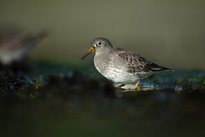 BUITEN BEELD Foto: 402728