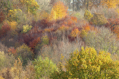 BUITEN BEELD Foto: 402770
