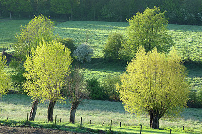 BUITEN BEELD Foto: 402771