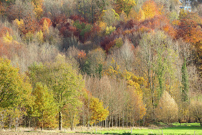 BUITEN BEELD Foto: 402792