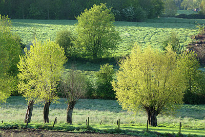 BUITEN BEELD Foto: 402794