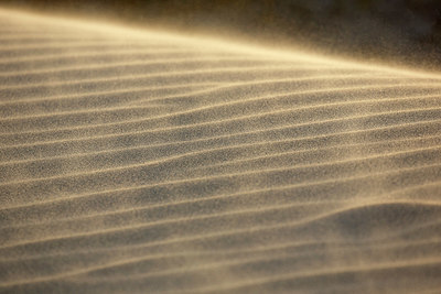 BUITEN BEELD Foto: 402827