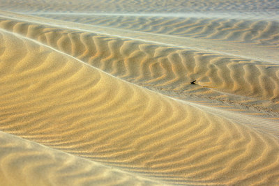 BUITEN BEELD Foto: 402898
