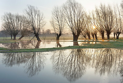 BUITEN BEELD Foto: 402899