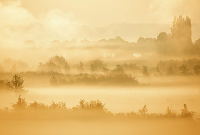 BUITEN BEELD Foto: 402905