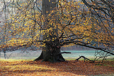 BUITEN BEELD Foto: 403002