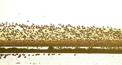 BUITEN BEELD Foto: 403026