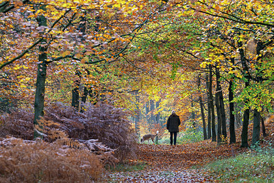 BUITEN BEELD Foto: 403034