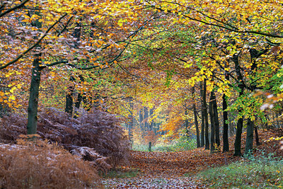 BUITEN BEELD Foto: 403035