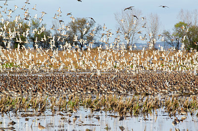 BUITEN BEELD Foto: 403038