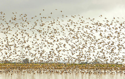 BUITEN BEELD Foto: 403043