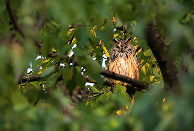 BUITEN BEELD Foto: 403050