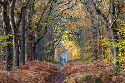 BUITEN BEELD Foto: 403074