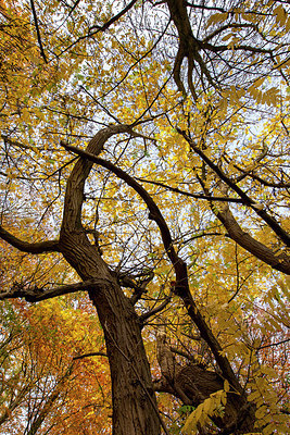 BUITEN BEELD Foto: 403089