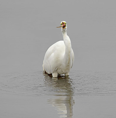 BUITEN BEELD Foto: 403093