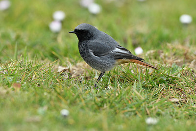 BUITEN BEELD Foto: 403116