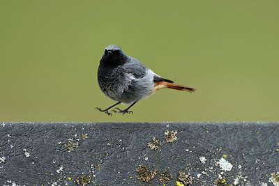 BUITEN BEELD Foto: 403118