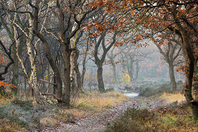 BUITEN BEELD Foto: 403163