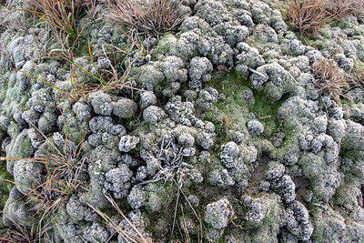 BUITEN BEELD Foto: 403165