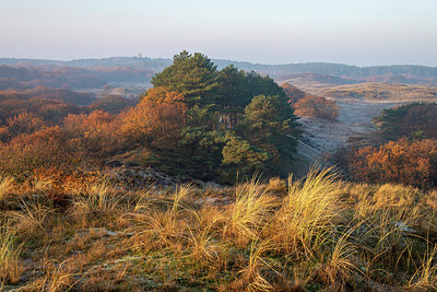 BUITEN BEELD Foto: 403170