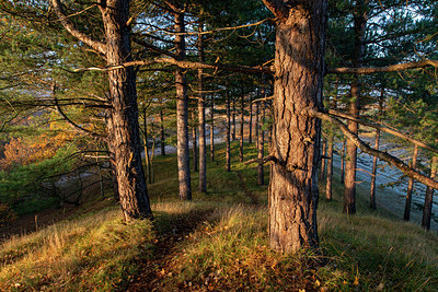BUITEN BEELD Foto: 403188