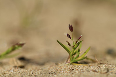 BUITEN BEELD Foto: 403253