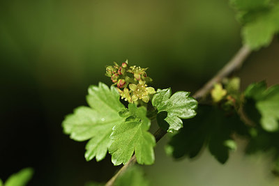 BUITEN BEELD Foto: 403264