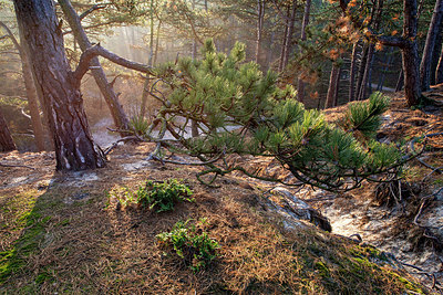 BUITEN BEELD Foto: 403498