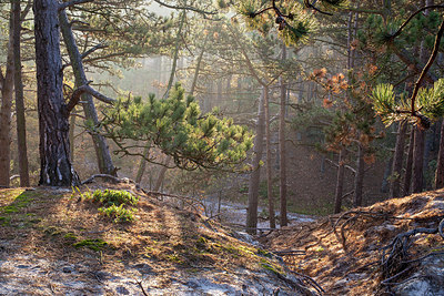 BUITEN BEELD Foto: 403499