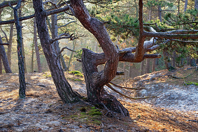 BUITEN BEELD Foto: 403500